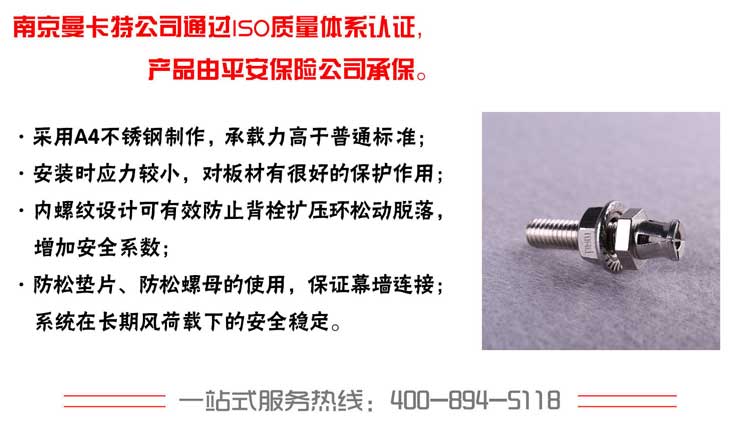 旋進(jìn)式背栓1