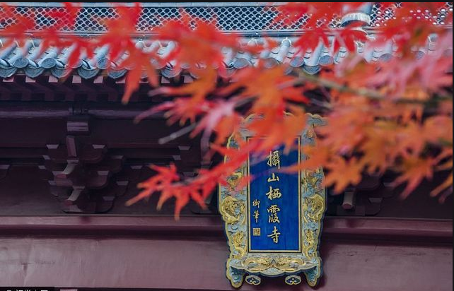 棲霞山楓葉換新顏，賞心悅目令人贊